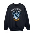 thumbnail image 1 of Harry Potter Boys Ravenclaw Sweatshirt, 1 of 6