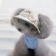 thumbnail image 5 of Sombrero de playa para el sol para mascotas, cachorro, perro de peluche, malla de poros transpirable, duradero, a la moda al aire libre (S), 5 of 8