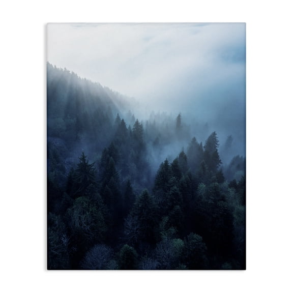 Stupell Industries Farmhouse Daylight over Pine Forest Canvas Art, 16 x 20, by Unsplash