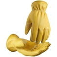 thumbnail image 1 of Guantes de trabajo DULFINE de piel de vacuno resistentes a perforaciones y cortes, 1 of 7
