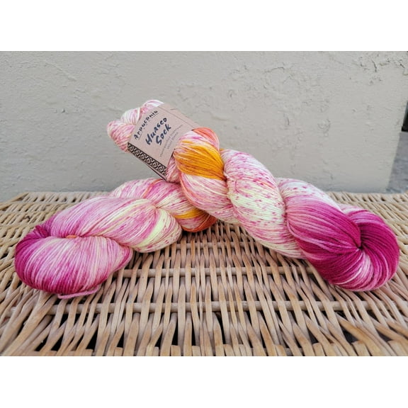 Huasco Sock by Araucania Yarns 1018 Bella Vista