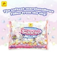 thumbnail image 6 of De La Rosa Bianchi Mini Rainbow Marshmallow Packets, Assorted Fruit Flavors, 30 Count, 6 of 11