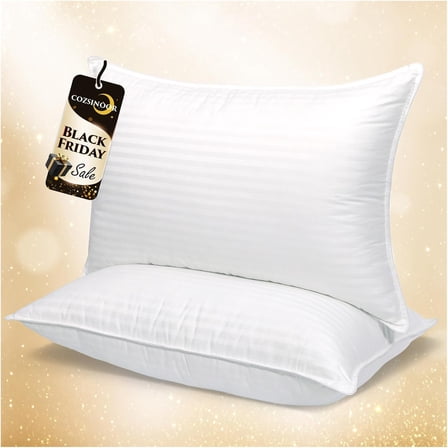 COZSINOOR Bed Pillows for Sleeping Queen Size - Breathable Hotel Quality Set of 2 - Down Alternative Microfiber Filled for Back, Stomach, Side Sleepers, Cooling & Skin-Friendly