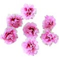 thumbnail image 1 of 100PCS Artificial Carnation Flower Heads, Fake Carnation for DIY Wedding Flower Wall Wedding Party Table Decoration Cake, Artificial Flower Head Decorations (Purple), 1 of 3