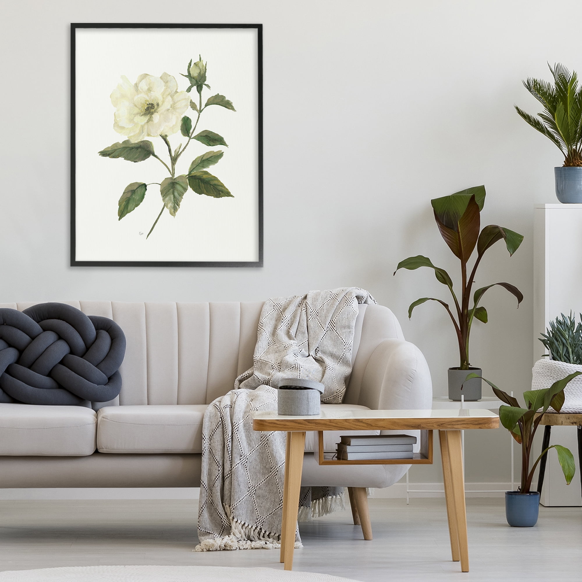 Stupell Industries Ivory Rose Bloom With Green Foliage Black Framed Giclee Art, design by Nan