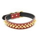 thumbnail image 1 of Collar de cuero para perros con púas doradas, para evitar que el perro sea atrapado por perros más grandes, 1 of 5