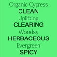 thumbnail image 4 of Plant Therapy Organic Cypress Essential Oil 10 mL (1/3 oz) 100% Pure, Undiluted, Natural Aromatherpay, 4 of 8