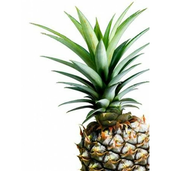 Pineapple - color Poster Print by Lexie Greer (9 x 12)