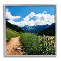 Stupell Industries Mountain Field Nature Path Photograph Gray Framed Art Print Wall Art, Design by Anna Coppel