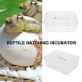 thumbnail image 4 of Sywqhk Incubadora de huevos de reptiles de plástico con 16 rejillas, bandeja para huevos de serpiente lagartija, caja para incubar Sywqhk Para estrenar, 4 of 9