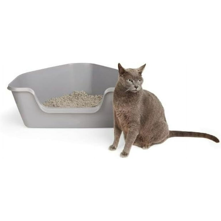 High back litter clearance box