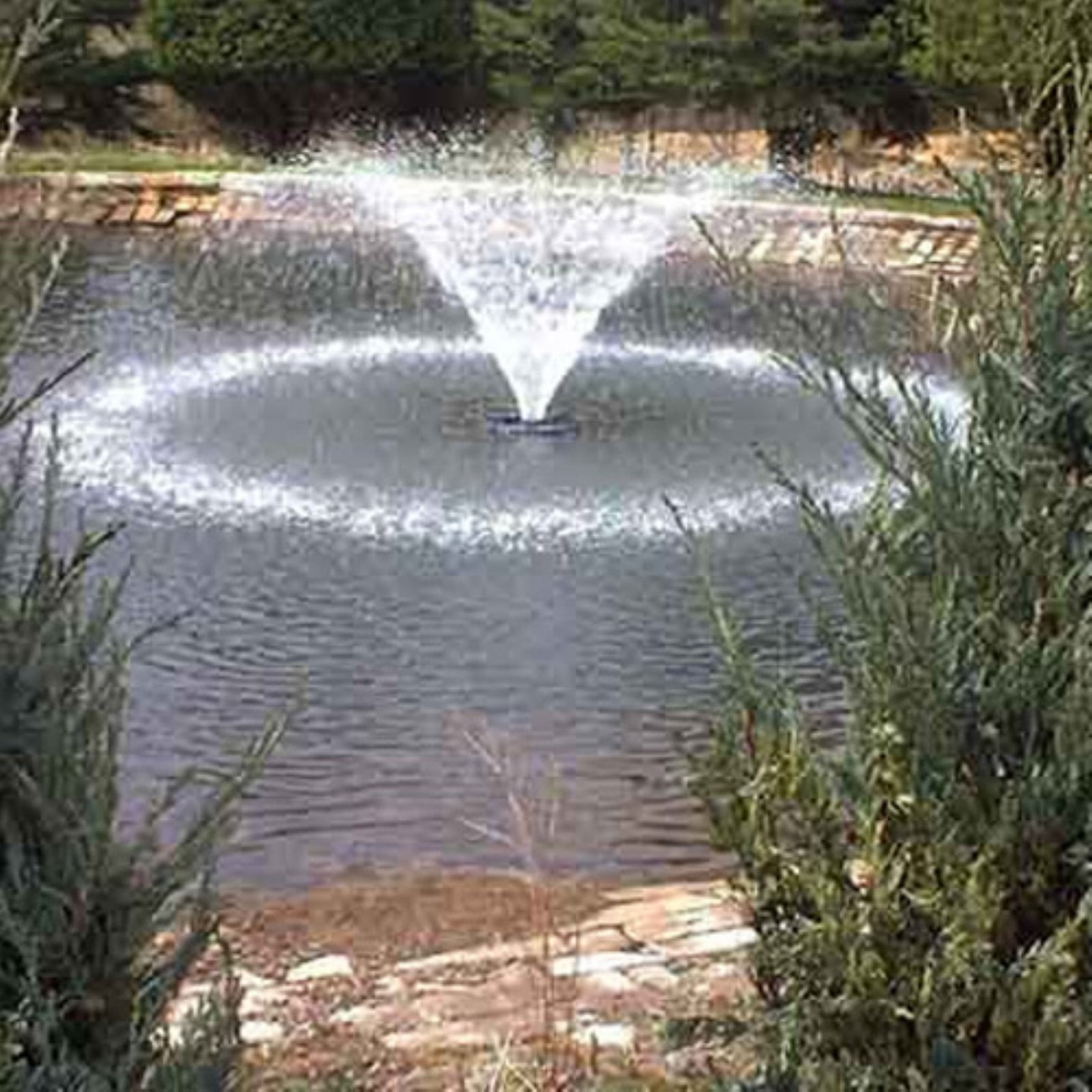 OASE Neptun 2600gph Pond Pump-waterfall-fountain-water garden-inline-submersible 
