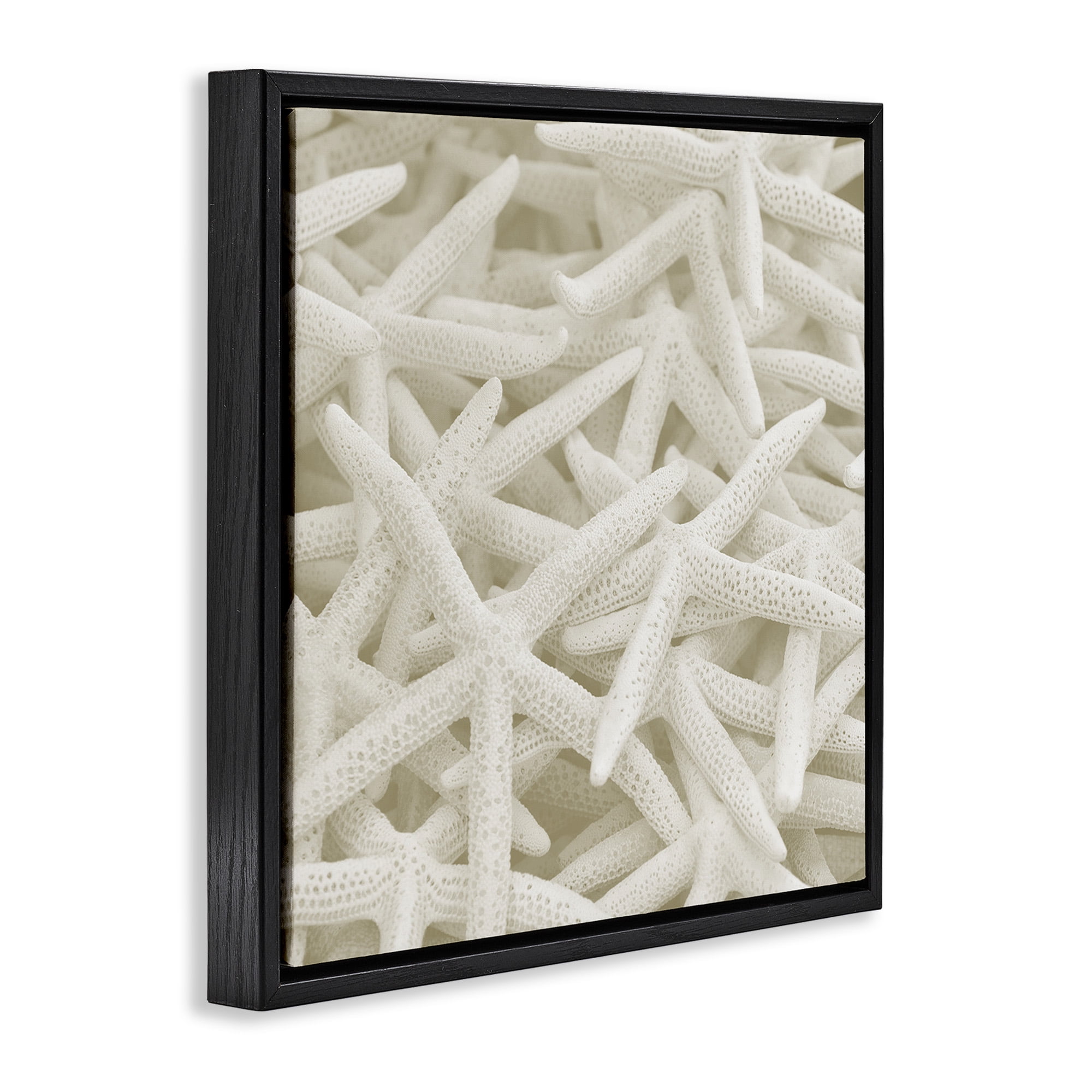 Stupell Industries Nautical White Starfish Photography Nature Photography Black Floater Framed Canvas Art Print Wall Art, 18 x 18