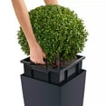thumbnail image 5 of Lechuza USA 22” White Cubico Outdoor Planter with Water Reservoir, 5 of 9