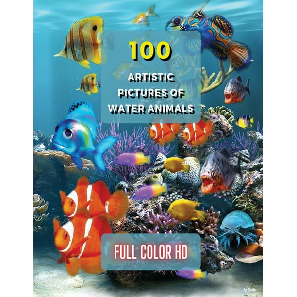 100 Artistic Pictures of Water Animals - Photography Techniques and Photo  Gallery - Full Color HD : A Collection Of Colorful Tropical Fish - The Best  Animal Pictures And Art Images Ideas -