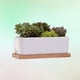 thumbnail image 3 of 2 piezas maceta para plantas suculentas, 3 of 3