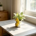 thumbnail image 4 of Cute Frog Shaped Succulent Planter Pot, Cute Animal Shaped Ceramic Flower Pot, Small Ceramic Cactus Flower Container, Funny Animal Shaped Indoor Air Plants Holder, 4 of 4