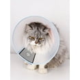 thumbnail image 4 of 1pc Pet Elizabeth Circle Collar For Dogs/Cats, Anti-Bite Anti-Scratch Neck Brace For Small/Medium/Large Pets, Beauty & Recovery Accessory, 4 of 4