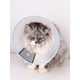 thumbnail image 4 of 1pc Pet Dog & Cat Elizabeth Collar, Cone For Large, Medium And Small Dogs, Anti-Bite, Scratch, Lick, Beautify And Rehabilitation Collar, 4 of 4