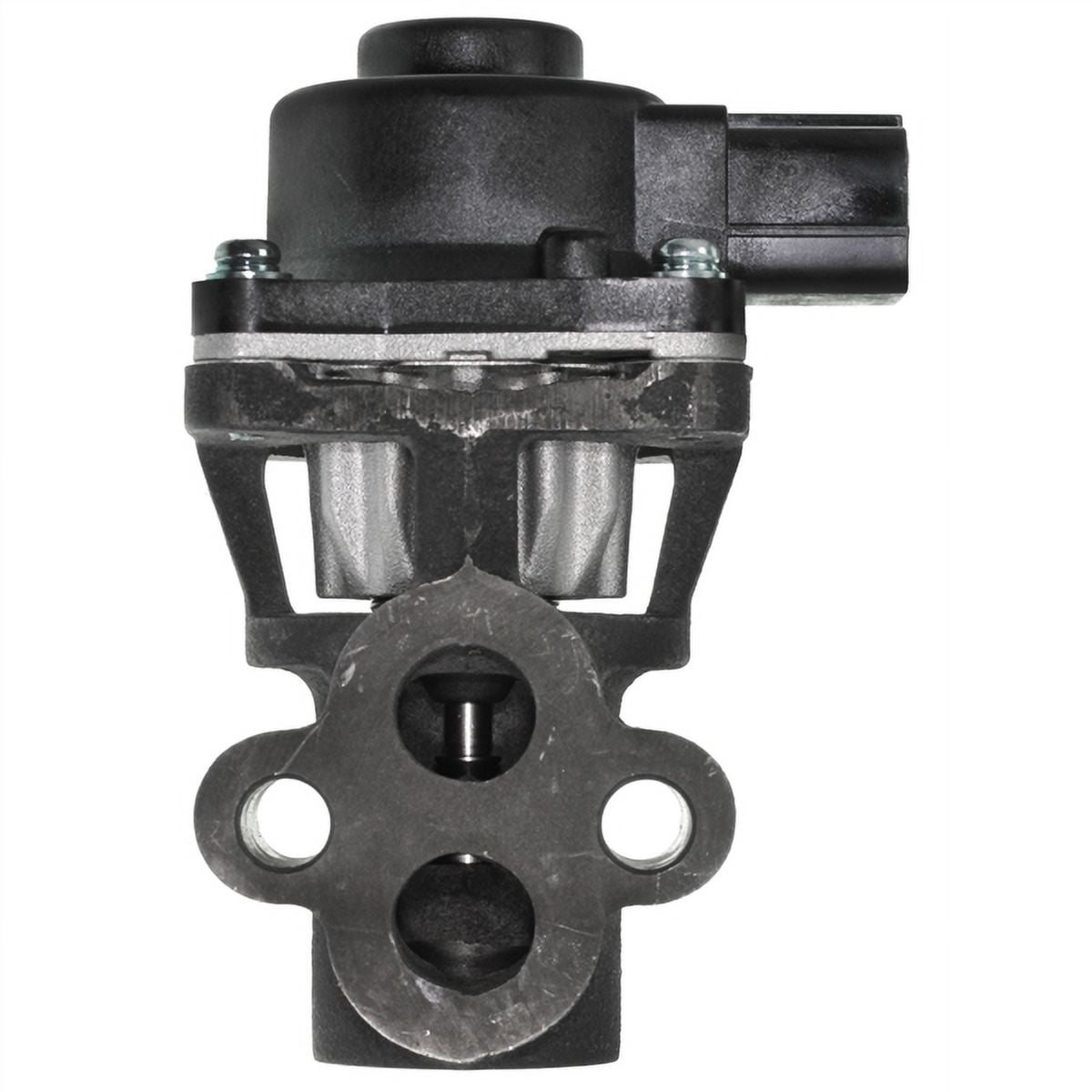 Exhaust Gas Recirculation (EGR) Valve