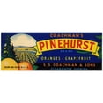 thumbnail image 2 of Anonymous 24x12 Gold Ornate Framed and Double Matted Museum Art Print Titled - Coachman's Pinehurst Brand Citrus Label (1930-1950), 2 of 4