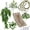 Group Bpn, variant on Terrarium Habitat Decor Group En for Reptile Pet Habitats