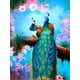 thumbnail image 1 of Peacock Diamond Art Kits for Adult & Beginner, Animal Diamond Painting Kits,Paint with Diamonds Round for Gift,DIY 5D Gem Painting Kit, Relaxation and, 1 of 4