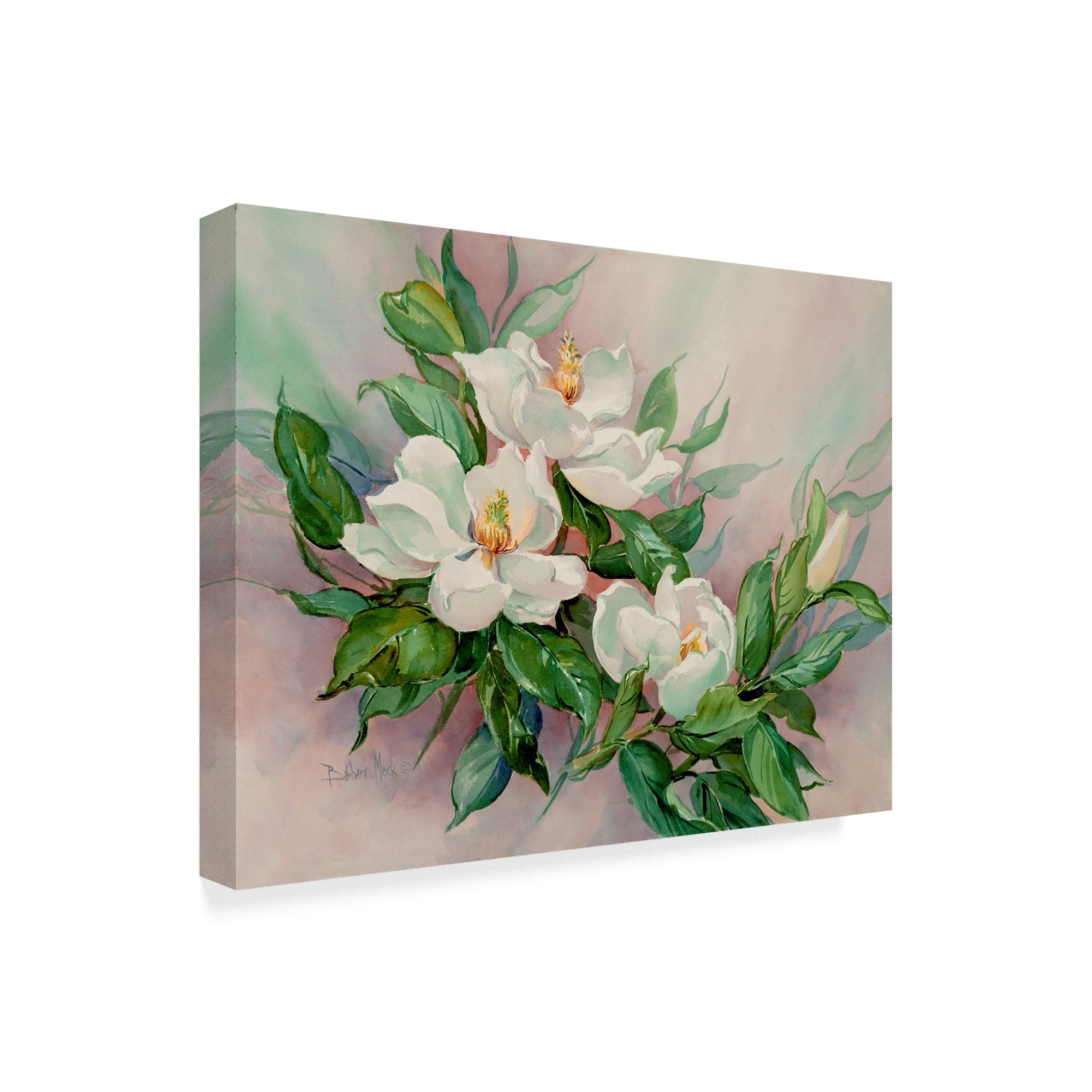 Trademark Fine Art 'Magnolia Blossoms' Canvas Art by Barbara Mock