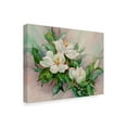 thumbnail image 2 of Trademark Fine Art 'Magnolia Blossoms' Canvas Art by Barbara Mock, 2 of 3