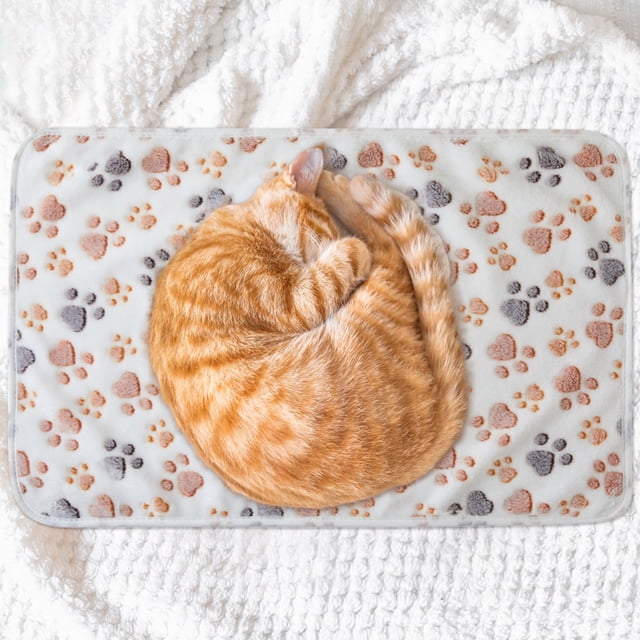 Couverture Réversible Créatine pour Chats, Tapis de Lit Chaud et Confortable