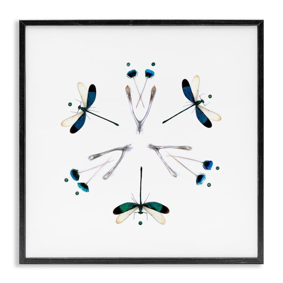 Stupell Industries Eclectic Simple Dragonfly Symmetry Black Framed Giclee Art, 12 x 12, by Beth Adoette