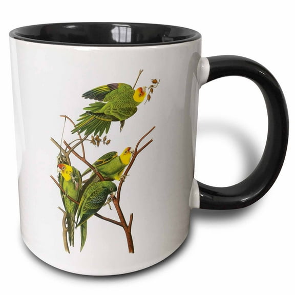 3drose, Branch Full of Parrots, 11oz Two-tone Black Mug