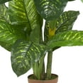 thumbnail image 5 of Nearly Natural 5' Dieffenbachia Artificial Plant (Real Touch), Green, 5 of 7
