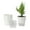 White, variant on Jademall 6-Pack Self Watering Plant Pot, 5" Small Plastic Self-Watering Flower Pot with Absorbent Rope, Gardening Decoration Plant and Flower Pots for Succulents, Aloe, Herb, Orchid - Small,Gray