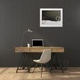 thumbnail image 3 of Brown, Denise 24x20 White Modern Wood Framed Museum Art Print Titled - Colt 2, 3 of 4