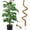 60 Inch, variant on Senya 60 Inch Moss Pole for Plants Monstera, Tall Bendable Moss Poles for Climbing Plants Indoor
