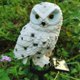thumbnail image 4 of 2Pcs Stakes Light Owl Night Night Ornament Waterproof for Outdoor Lawn Home Baoblaze none, 4 of 8
