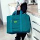 thumbnail image 2 of Bolsa de Almacenamiento Bolsa de almacenamiento de viaje portátil impermeable de poliéster plegable Abody Bolsa de Almacenamiento, 2 of 6