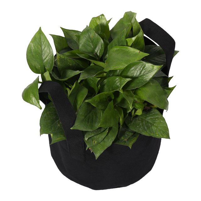 Grow Bag Lightweight Plant Grow Bag Reusable Planting Strawberries Garden