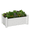 White, variant on MINDYES Rectangular Resin Planter Box Raised Beds For Gardening Plants 30.04*17.72*12.6 inch Outdoor Tomato Planters