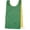 Green, variant on Champion Sports Referee Pinnie, Black/White, Adult