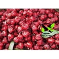 thumbnail image 3 of 100 Roselle Seeds for Planting - Hibiscus Sabdariffa, Heirloom Non-GMO, Edible Hibiscus, Red Sorrel, Florida Cranberry - by Mai's Family, 3 of 6