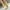 Gold, variant on POROPL Knee High Boots for Women Fall High Heel Pointed Toe Shoes,Boots for Saving Size 4.5