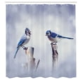 thumbnail image 3 of Ambesonne Animal Shower Curtain, Jay Birds Perching on Log, 69"Wx70"L, Pale Purpleblue and Sea Blue, 3 of 5