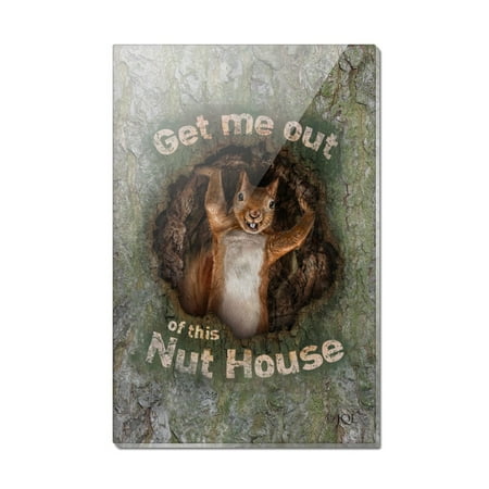 

Get Me Out of this Nut House Crazy Funny Rectangle Acrylic Fridge Refrigerator Magnet