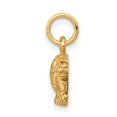 thumbnail image 2 of 10K Yellow Gold Satin Small Leopard Charm Cat Jewelry, 2 of 3