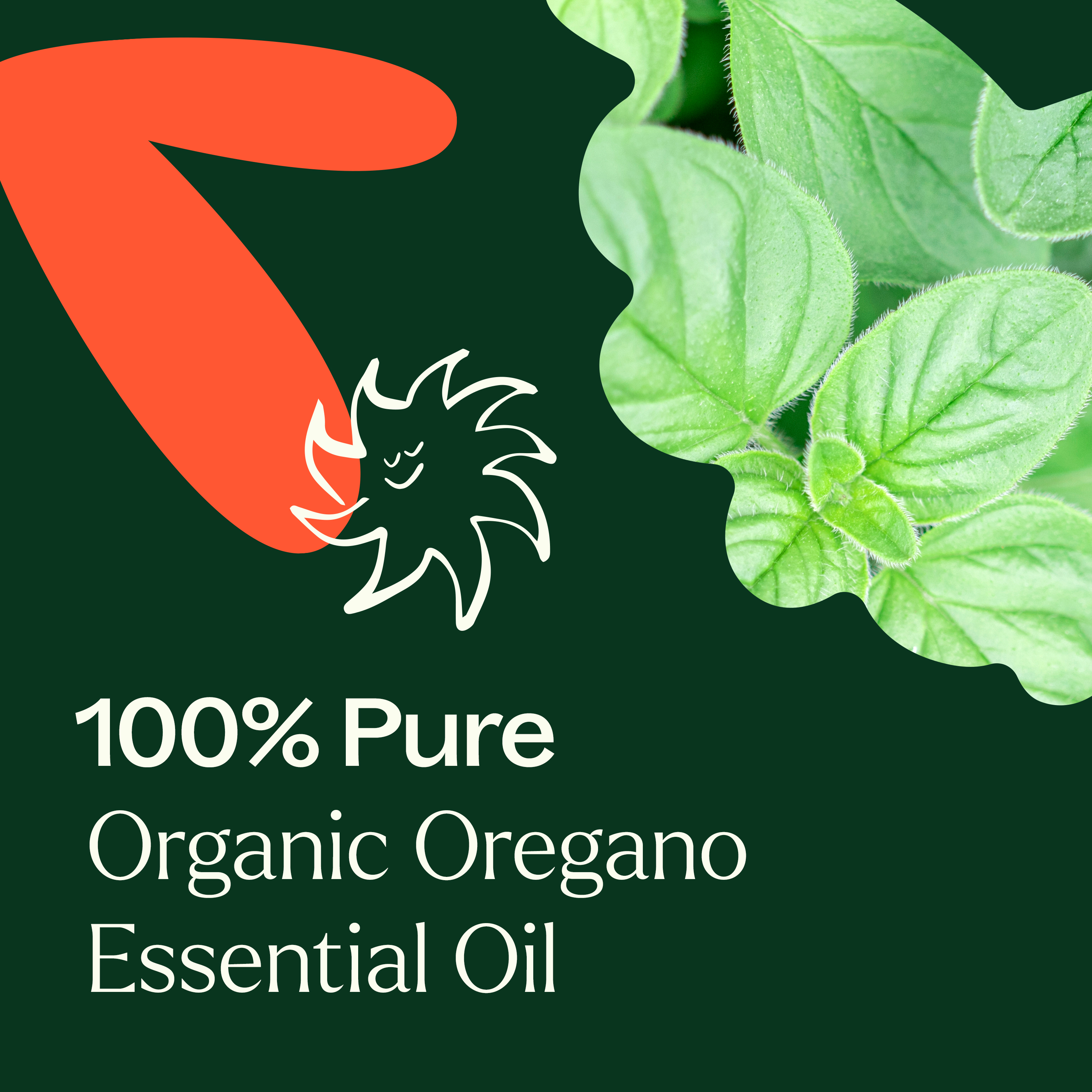 Plant Therapy Organic Oregano Essential Oil 100% Pure, USDA Certified Organic, Undiluted, Natural Aromatherapy, Therapeutic Grade 10 mL (1/3 oz) - image 3 of 7