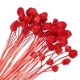 thumbnail image 1 of Uxcell Flores Secas para Jarrón, Mini Flores de Bola de Pino Rojas Naturales, 1 of 6