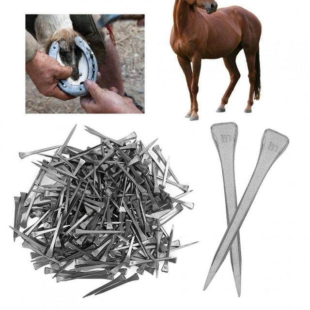 Uaña de Herradura, Uaña de Herradura de Alta, Mano de Obra Fina de Trabajo Duradero de Acero de Alta para para Unas de Herradura Suministro de Caballos de Herradura