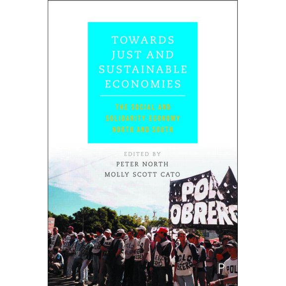 Towards Just and Sustainable Economies: The Social and Solidarity Economy North and South, (Paperback)